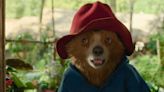 Paddington 3's Dougal Wilson felt "terror" taking over from Paul King