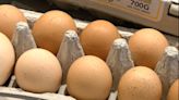 畜產會協助採購進口蛋 農業部認定疏失將追回補助