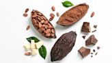 Cocoa prices soar to all-time highs amid worst shortage in decades