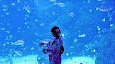 穿浴衣逛水族館！美拍風鈴廊道秒飛日本夏日祭典