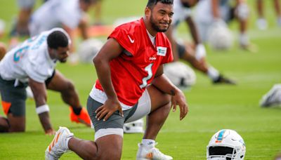 Tua Tagovailoa turning to former Dolphins QB John Beck for tutelage