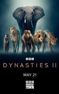 Dynasties II