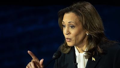 Kamala Harris reminds Americans she's a gun owner at ABC News debate