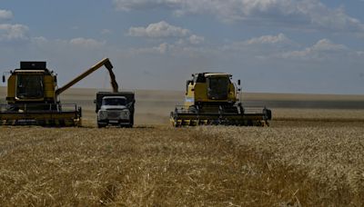 Ukraine seizes cargo ship, detains captain for exporting 'looted' grain