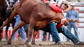 Steer, two horses euthanized at Calgary Stampede rodeo competition