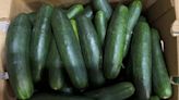 Cucumbers recalled in 14 states due to salmonella risk