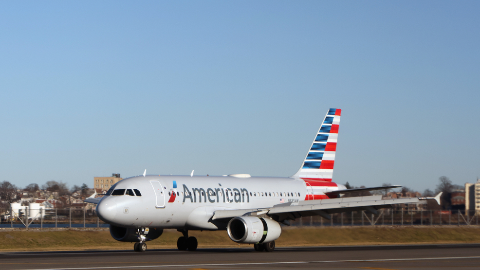 American Airlines flight turns around 2 hours in after passenger calls attendant 'waiter'