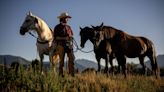 ‘Year of the Mustang’: One man’s mission to remind us of the plight — and power — of the wild horse