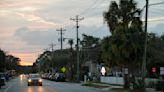 500+ Sullivan's Island palmettos were to be cut down. After public outcry, half were spared.