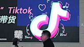 TikTok suspende programa de recompensas en España y Francia | El Universal