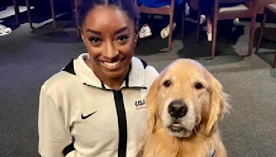 Beacon The Therapy Dog: The Unsung Hero Of Team USA Gymnastics