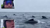 Nerve-wracking moment Brit rower is swarmed by 'a THOUSAND' whales rocking boat