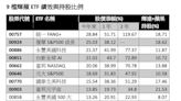 蘋果輝達勁揚 9檔「輝」「蘋」ETF閃金光 這檔漲28.8％