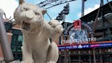 Tigers-Cardinals game at Comerica Park postponed due to bad weather