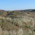 Merthyr Mawr Sand Dunes