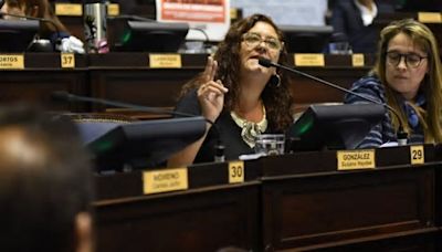 Susana González: “Los intendentes radicales deberían decirles a sus diputados que dejen de ser tan pelotudos”
