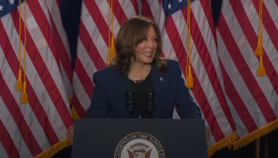 Kamala Harris debuts presidential campaign in swing state of Wisconsin