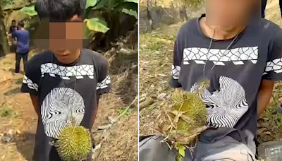 RM10,000 for stealing 3 durians - News