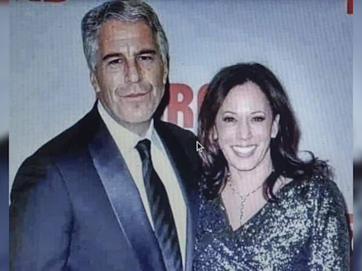 Jeffrey Epstein And Kamala Harris' Beach Photo Is FAKE