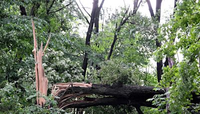Tornado hits Michigan, killing toddler, while Ohio and Maryland storms injure another 13