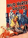 Wild Horse Rodeo