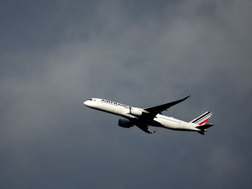 Air France, Lufthansa Group airlines part of EU greenwashing probe