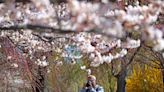 Weekend outlook: Temps warm up, with weak passing showers in the mix - The Boston Globe