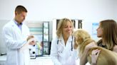 Why you should buy pet insurance in a weak economy