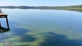 Harmful algal bloom found in Poinsett County, AR lake