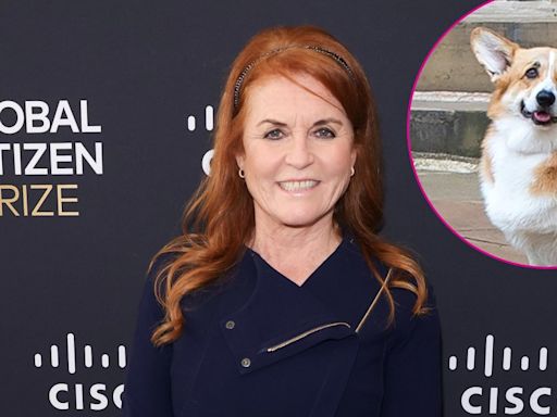 Sarah Ferguson Says Her and Queen Elizabeth's Dogs Get Along Well