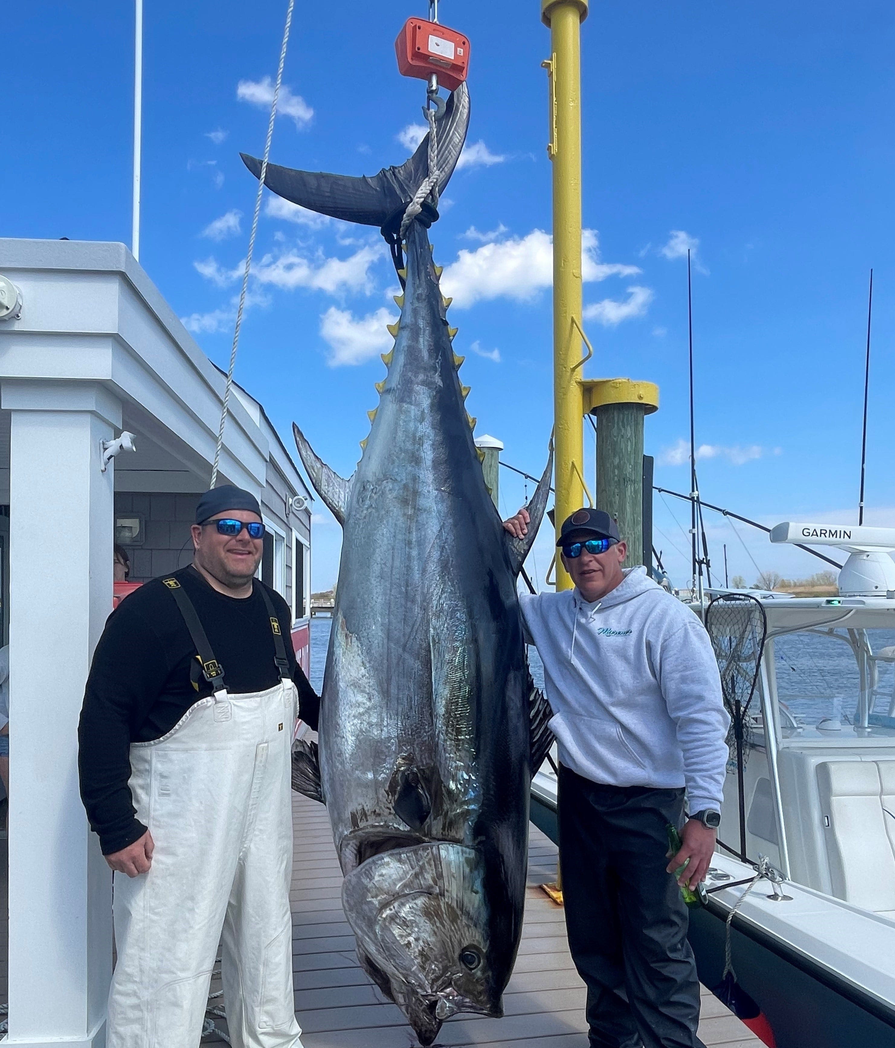 After 4-hour fight, 2 fishermen land 718-pound giant bluefin tuna off New Jersey coast