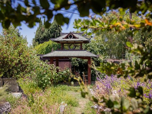 They turned a junk-filled L.A. yard into a weird and wonderful habitat garden