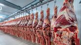 El primer mes del año empezó con un salto en las exportaciones de carne vacuna