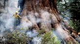 Firefighters race to defend ancient sequoias from 2,700-acre Washburn fire in Yosemite