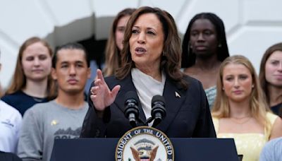 The road to Democratic nomination clears for Harris as she rakes in record-breaking $81 million