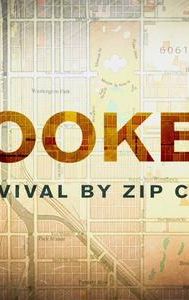 Cooked: Survival by Zip Code