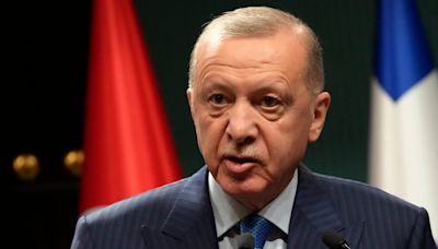 'Israel will be stopped sooner or later': Turkey's Erdogan on Lebanon invasion