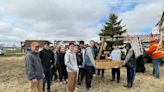 Osprey whisperers: Charlottetown students hope to attract the majestic birds to a new home