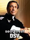 seaQuest DSV