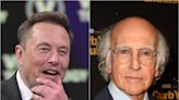 Larry David confronted Elon Musk at a wedding over Republican vote: ‘Do you just want to murder kids in schools?’