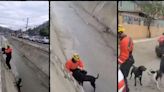 Bomberos rescatan a perritos que cayeron en un canal de Tijuana