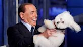 Berlusconi was proof a suspiciously white smile can take you a long way