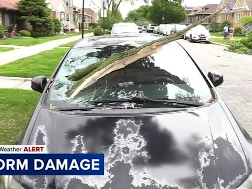 Chicago weather forecast: Strong wind, rain flip small plane in west suburbs; branches down in city