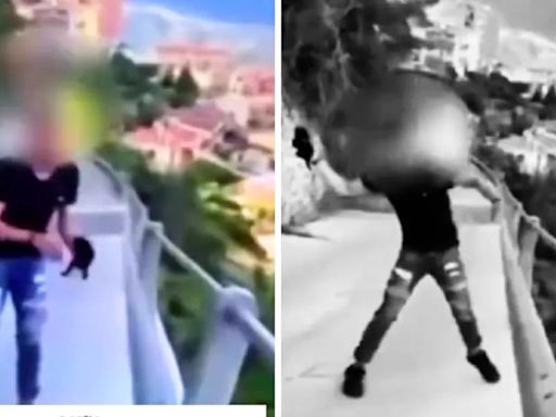 Conmoción en Italia por un video de un joven lanzando a un gato desde un puente: piden pena ejemplar | Mundo