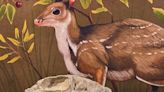 Cat-sized and hornless, this newly discovered deer genus roamed the Dakotas 32 million years ago