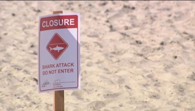 Teenager hurt after reported shark attack at popular Florida panhandle beach, deputies say