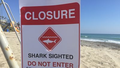 Shark knocks surfer off board, prompts San Clemente water closure