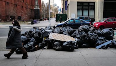 Kampf gegen Rattenplage - „New York entdeckt endlich den Mülleimer!“