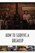 How to Survive a Breakup