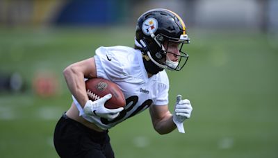 Dolphins Release Former Steelers WR